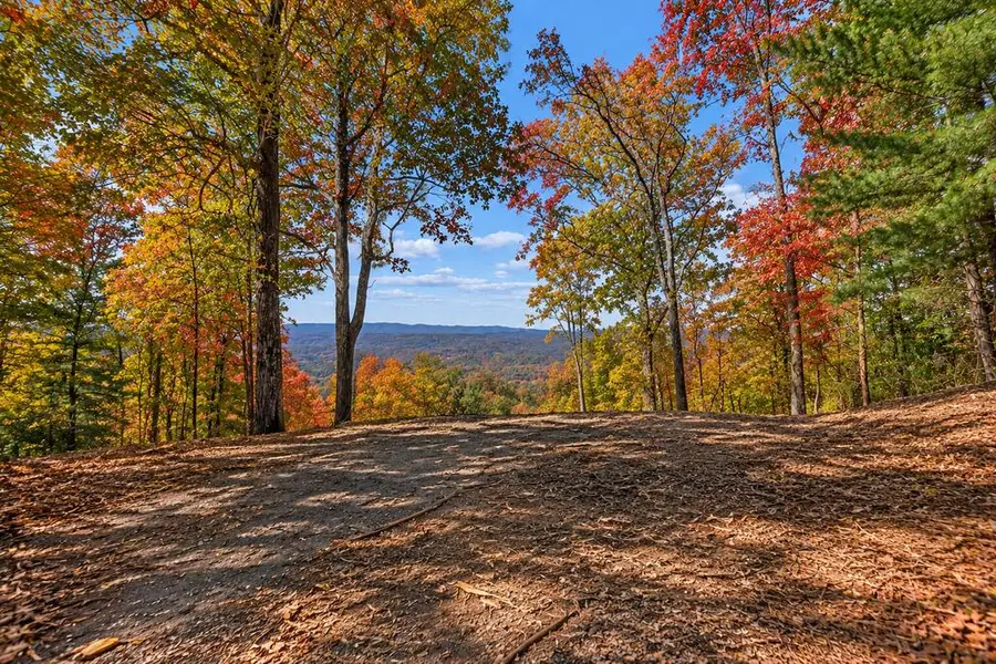 LT 32 Pheasant Tail Trace, Ellijay, GA 30536 - #2