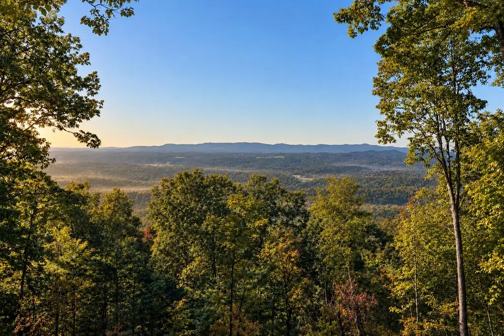 LT 33 Pheasant Tail Trace, Ellijay, GA 30536 - #1