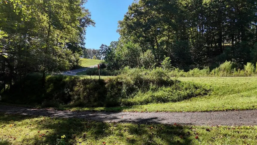 L64 Bowling Forest Lane, Blairsville, GA 30512 - #1