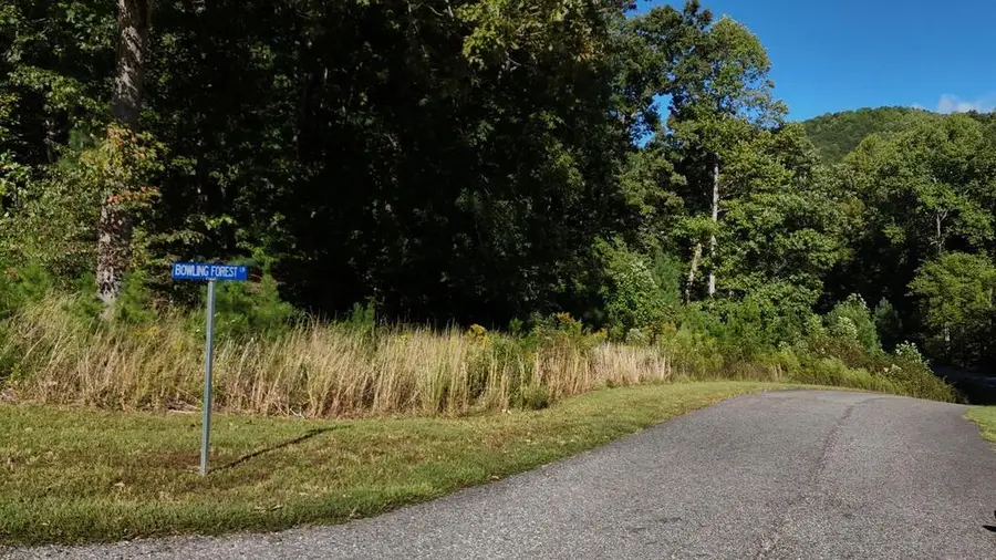 L64 Bowling Forest Lane, Blairsville, GA 30512 - #2
