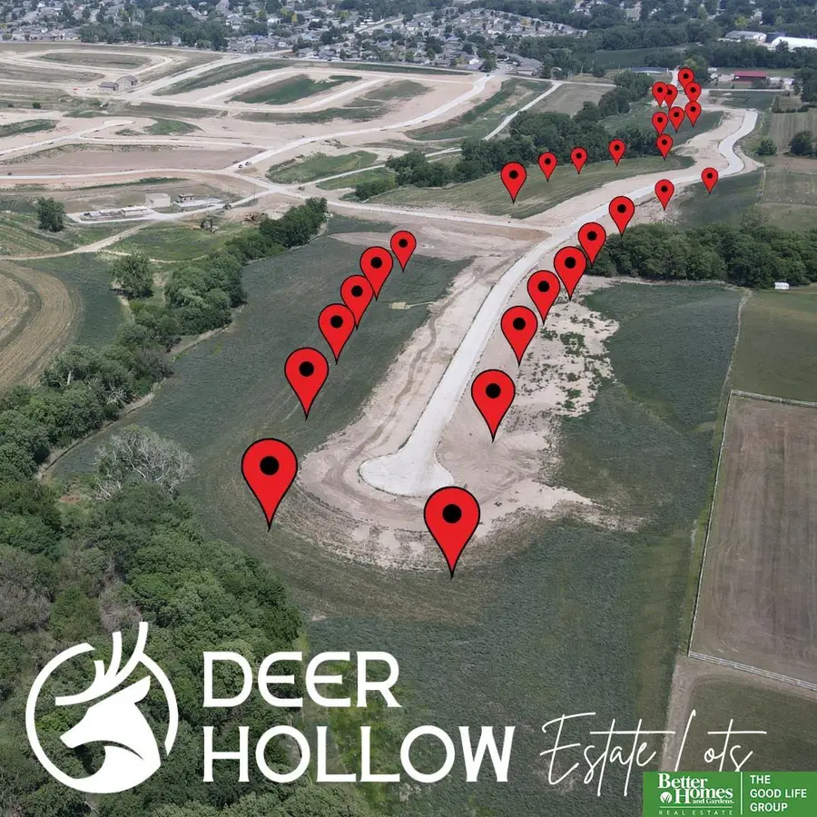 21913 Hackberry Drive, Gretna, NE 68028 - #3