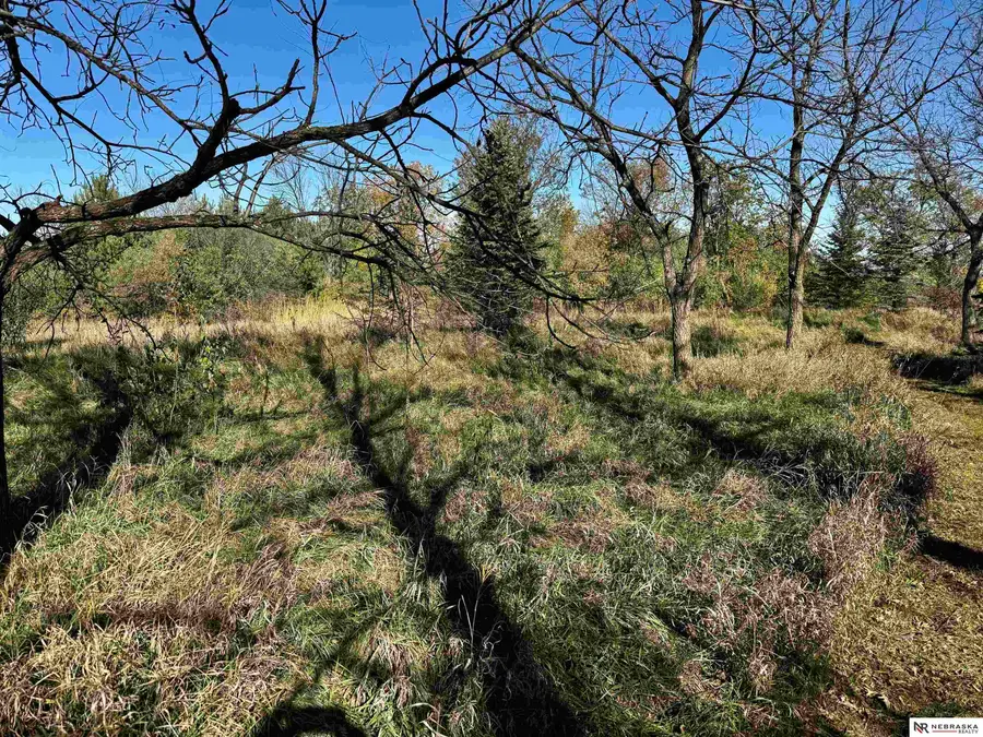 6711 Platteview Road, Papillion, NE 68133 - Image #3