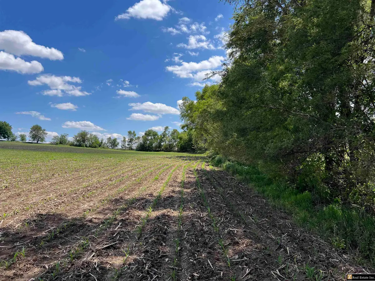 Parcel 5 Spring Saunders County Acreages County Road, Yutan, NE 68073-5023 - Image #1