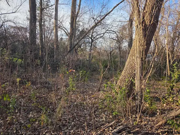 tbd Mad Hatter Lane, Blair, NE 68008