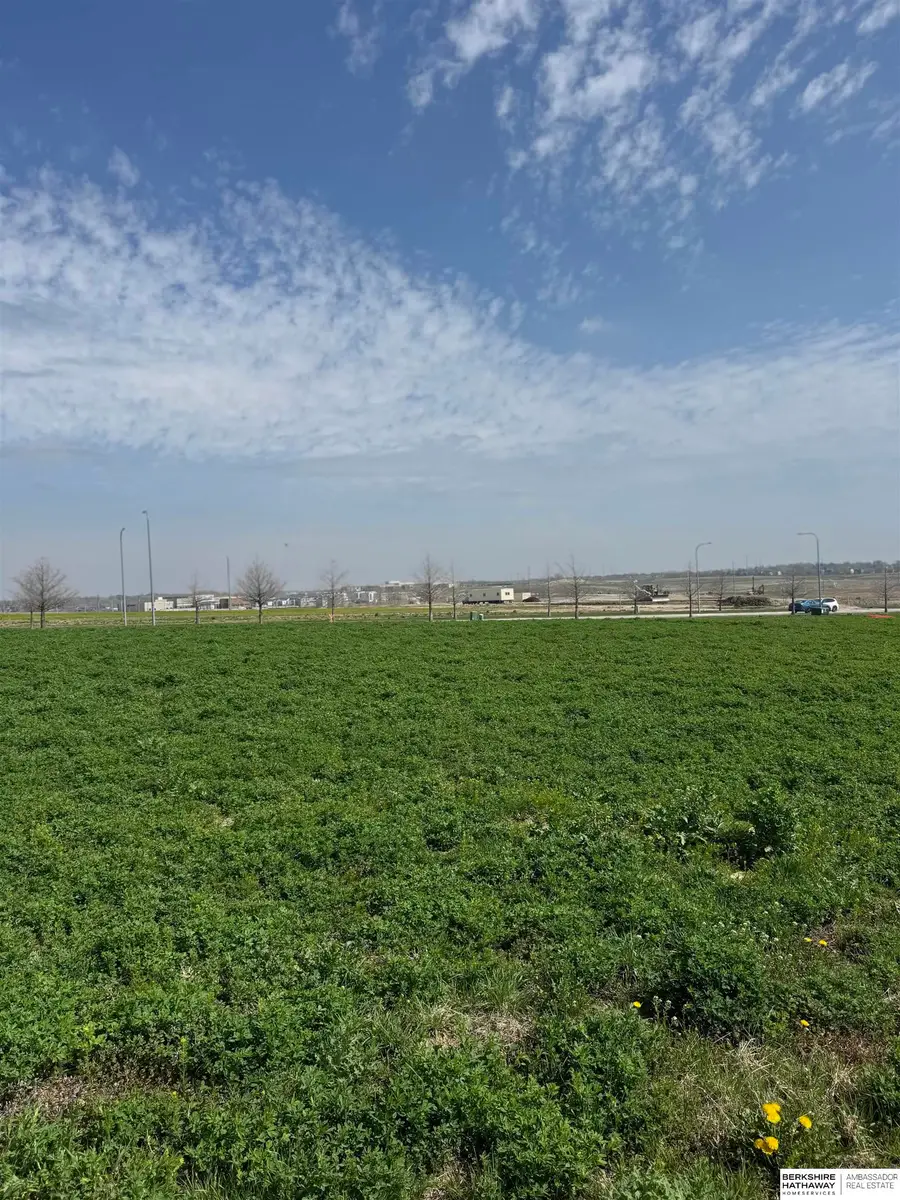 20714 Hascall Street, Chicago, NE 68022 - #2