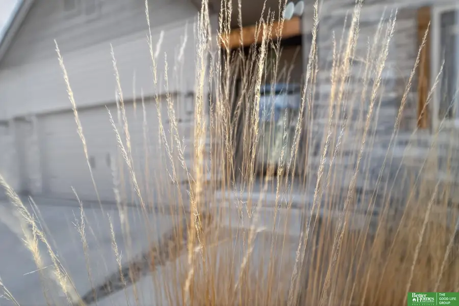 18807 Cottonwood Street, Omaha, NE 68136 - #3