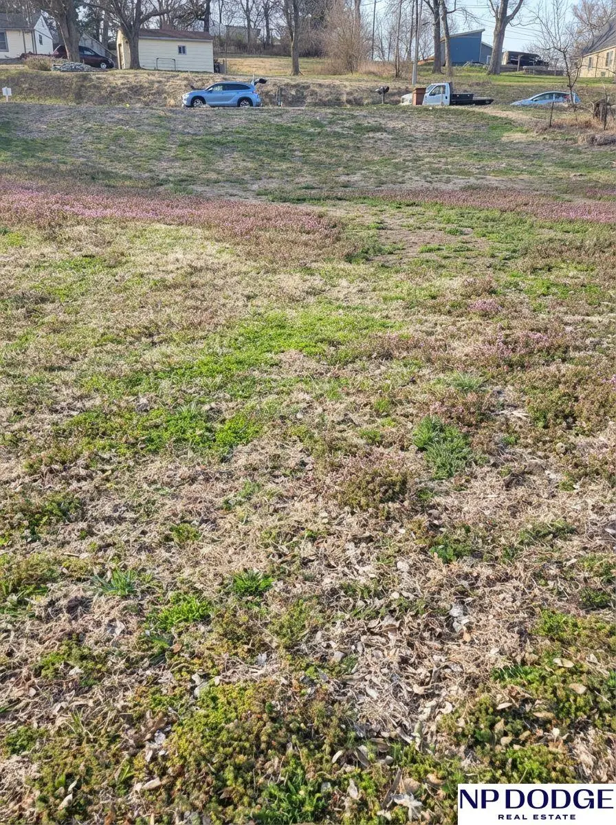 626 Cedar Street, Ashland, NE 68003 - #3