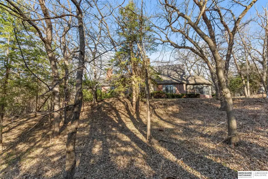 20605 Meadow Ridge Drive, Springfield, NE 68059 - #2