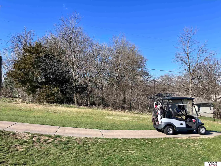 1317 Beaver Lake Boulevard, Plattsmouth, NE 68048 - #2