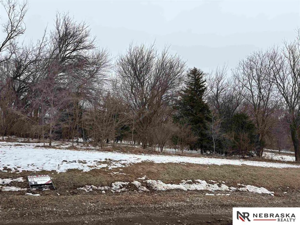 13814 Burdette Street, Omaha, NE 68164 - #1