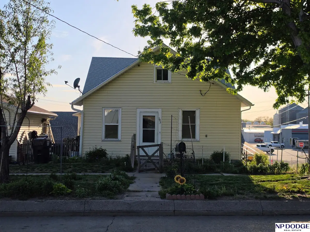 703 S Colfax Street, West Point, NE 68788 - #1
