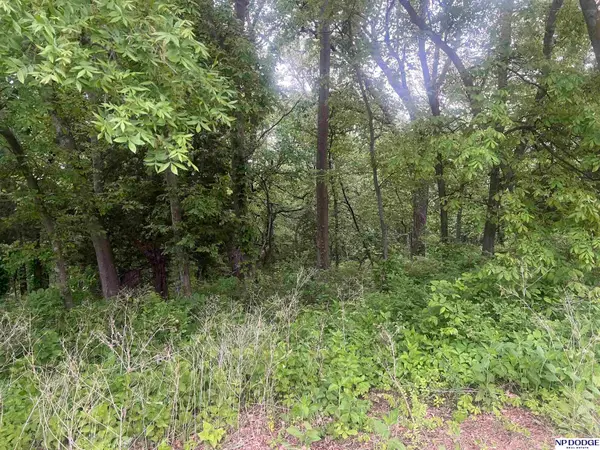 5517 S 241st Circle, Elkhorn, NE 68022