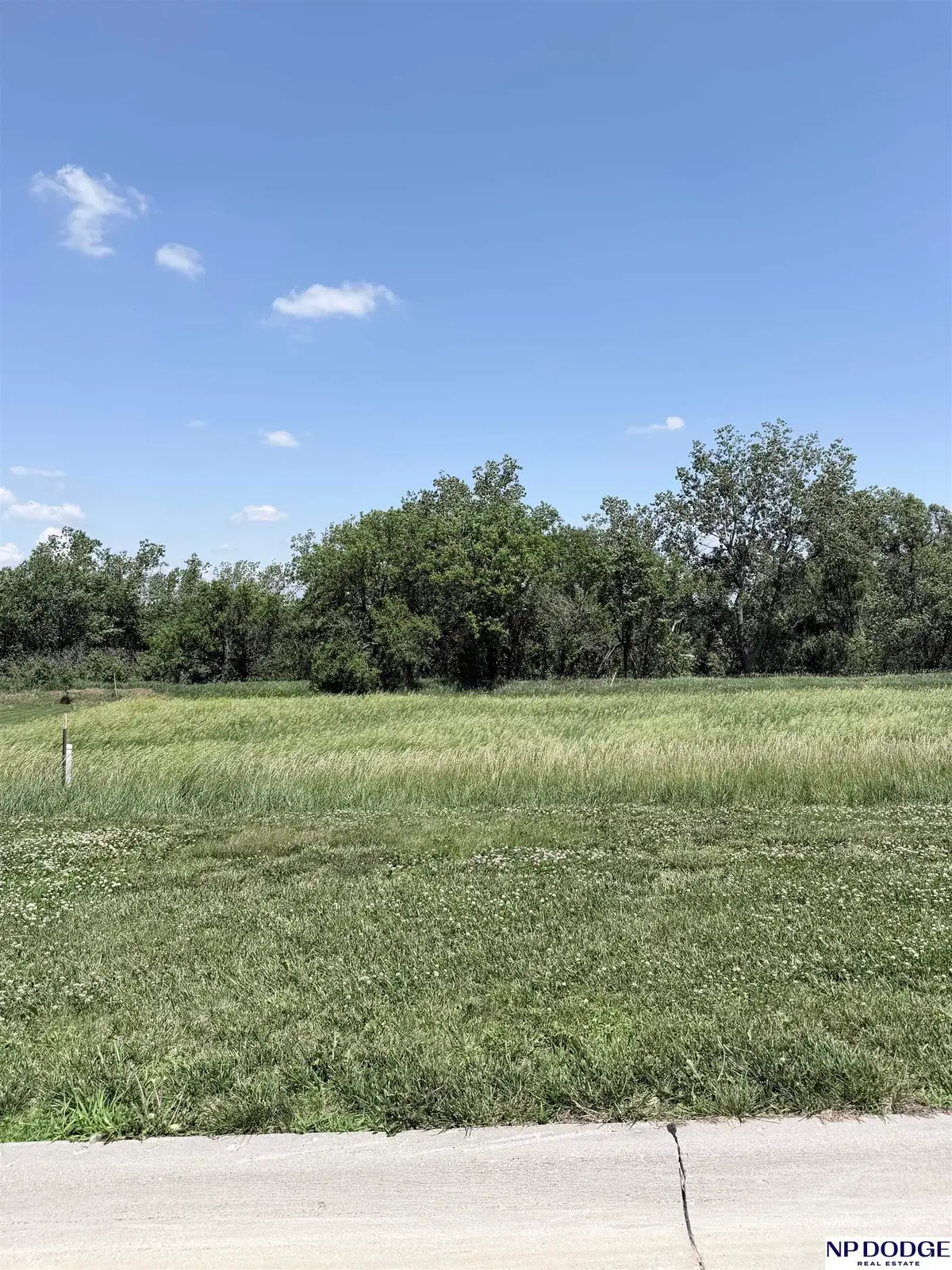 1019 Brickyard Drive, Hooper, NE 68031 - #1