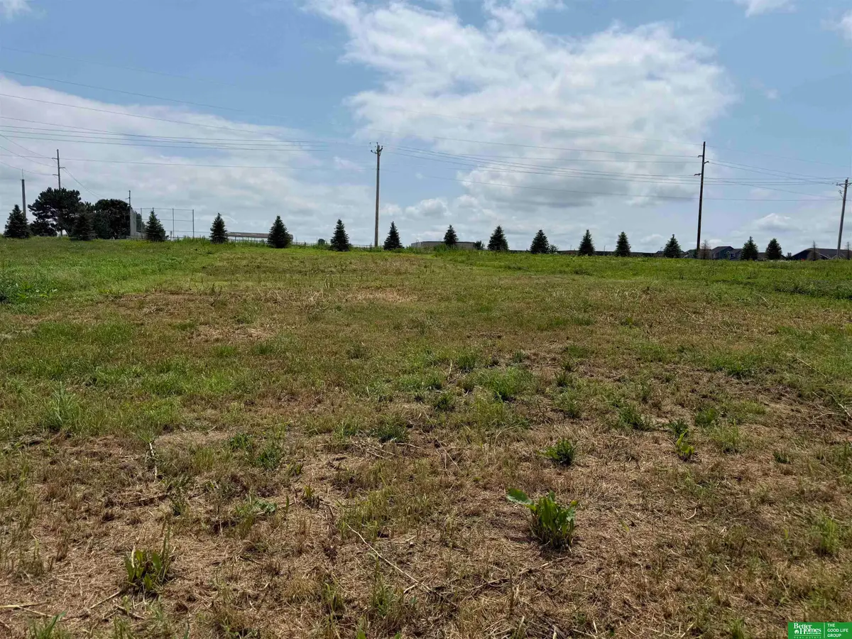 20607 Ogden Street, Elkhorn, NE 68022 - #1