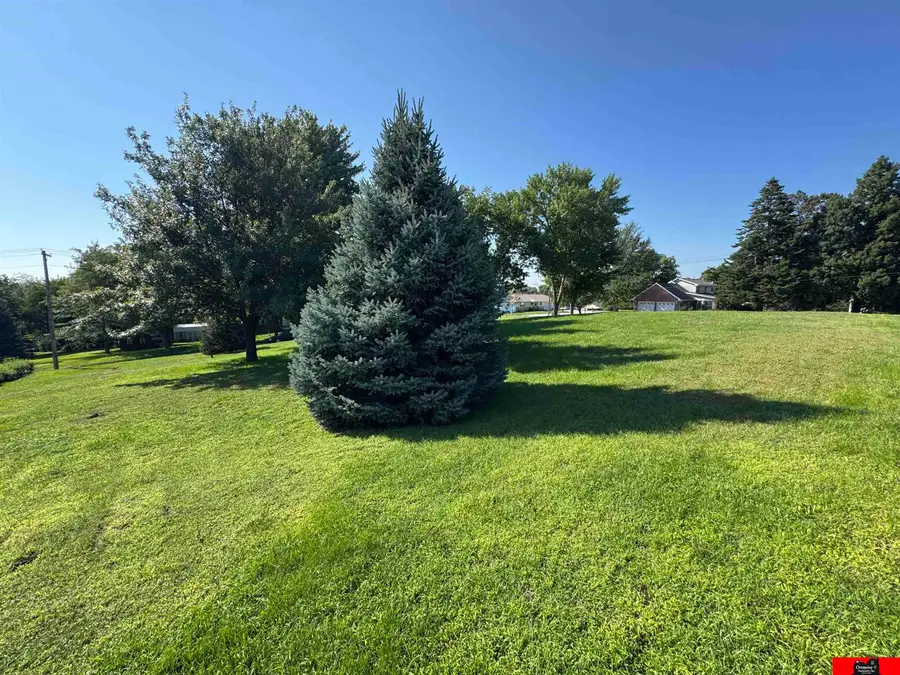 917 E Sherman Street, West Point, NE 68788 - #2
