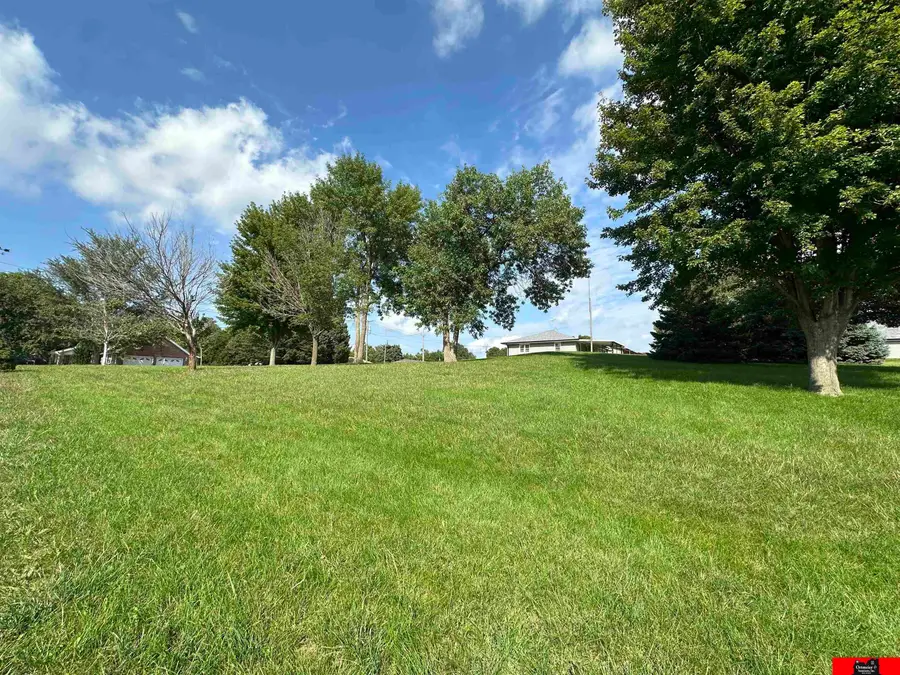 917 E Sherman Street, West Point, NE 68788 - #3
