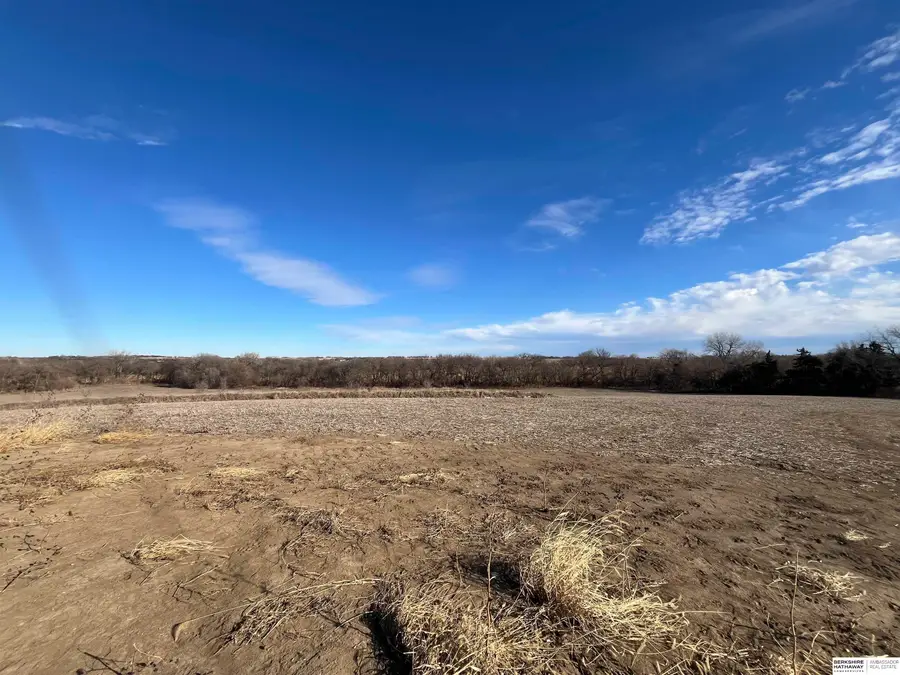 Lot 4 Cottonwood Acres, Malmo, NE 68040 - #3