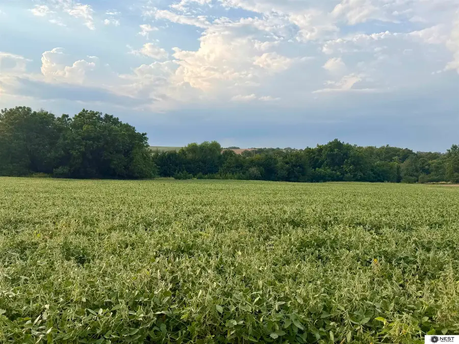 Lot 3 86xx Agnew Road, Ceresco, NE 68017 - #2