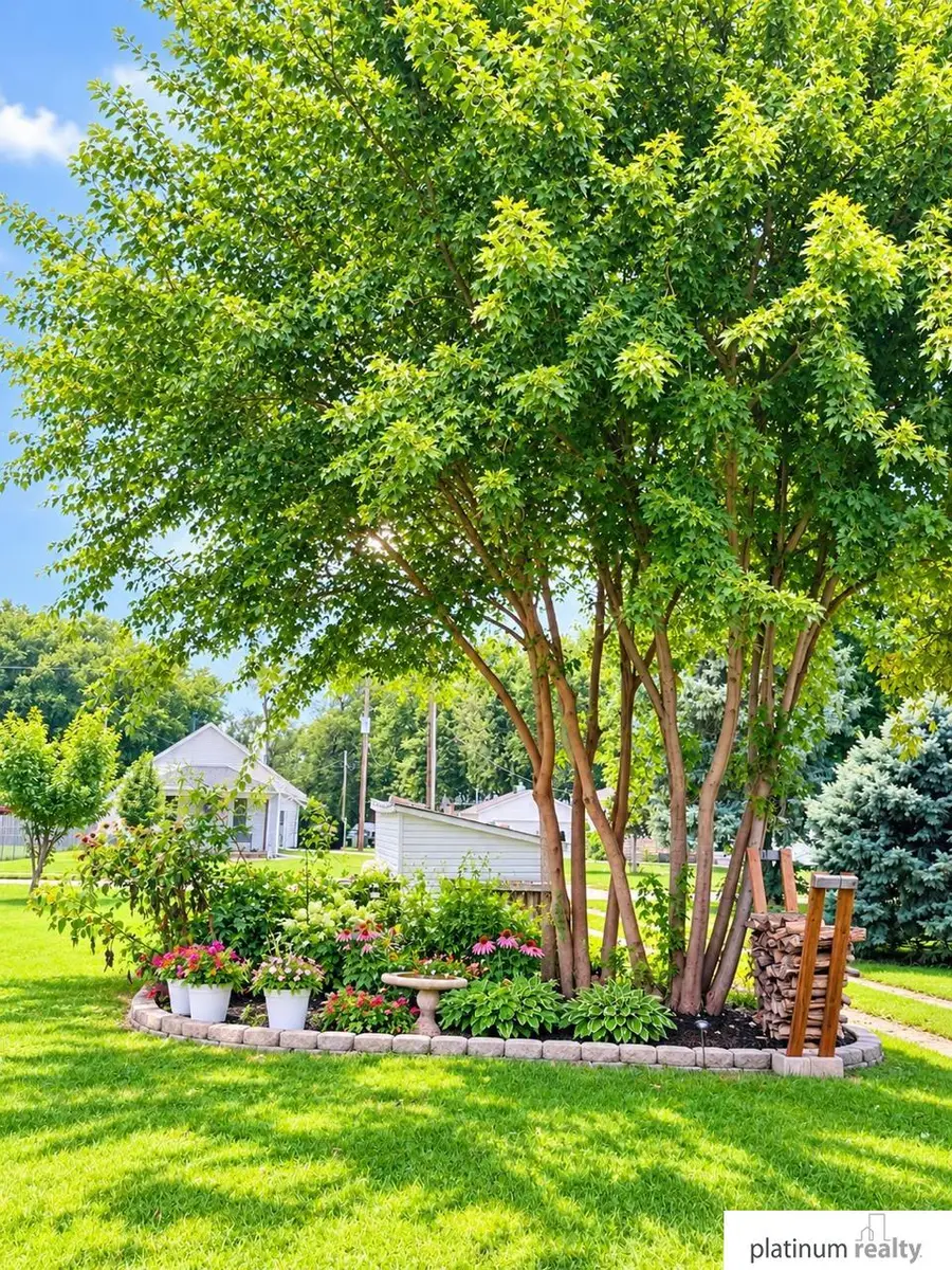 1154 Park Street, Blair, NE 68008 - #3