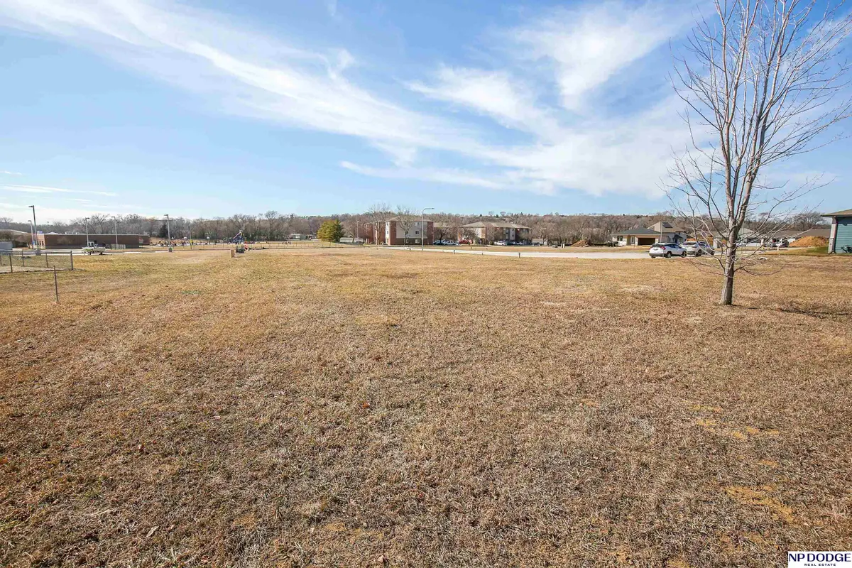 2310 Landing Lane, Blair, NE 68008 - #1