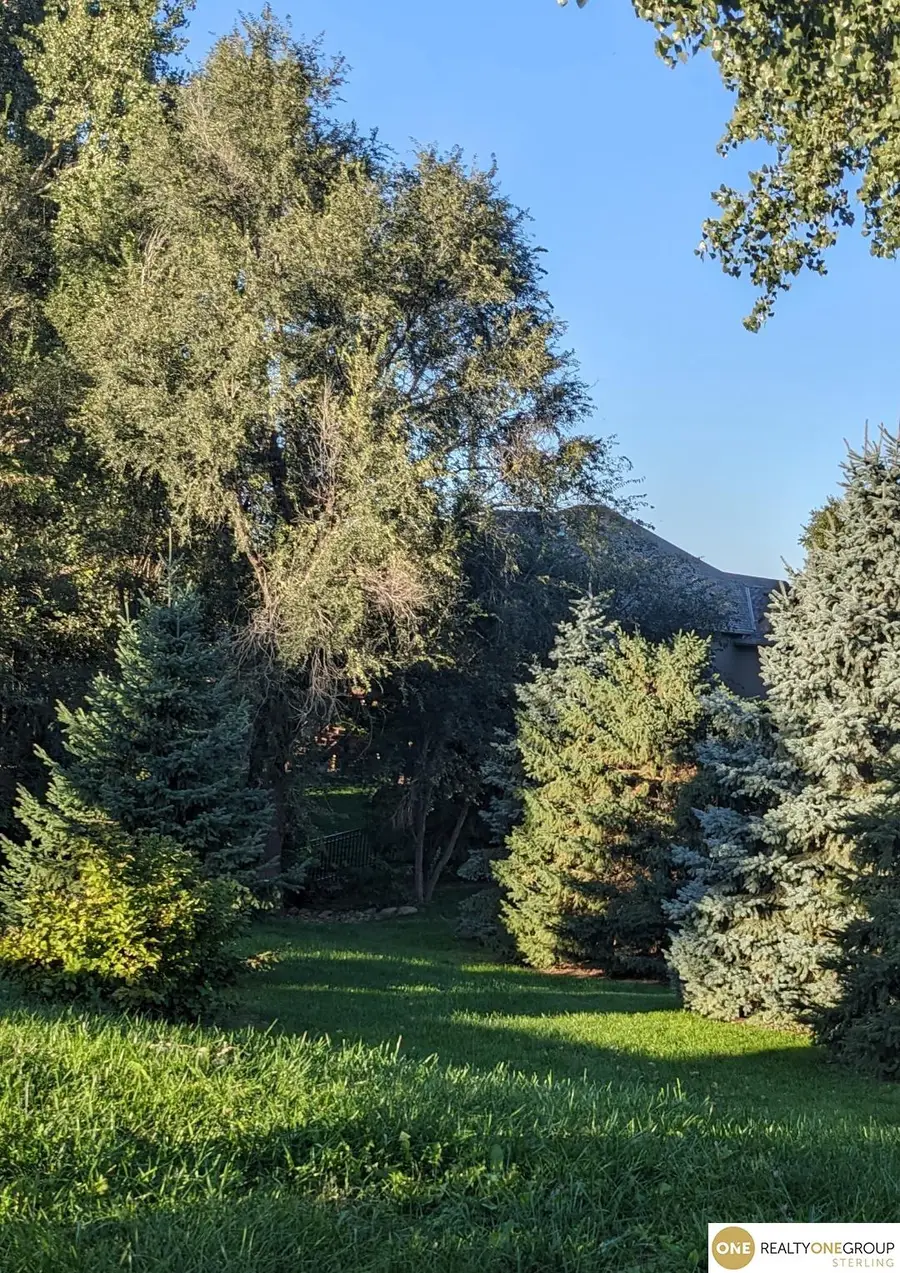 16412 Craig Avenue, Bennington, NE 68007 - #2