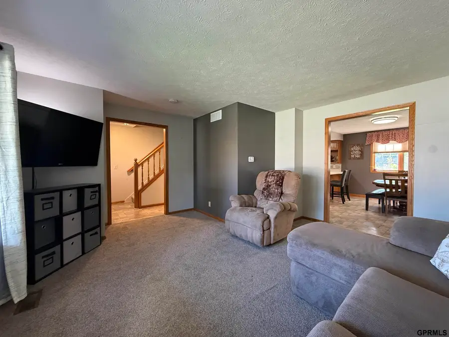 1115 22nd Street, Gothenburg, NE 69138 - #3