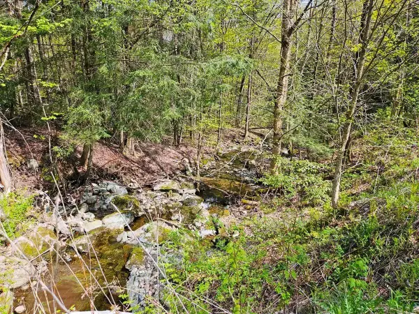 1367 Berry Road, Berkshire, VT 05450