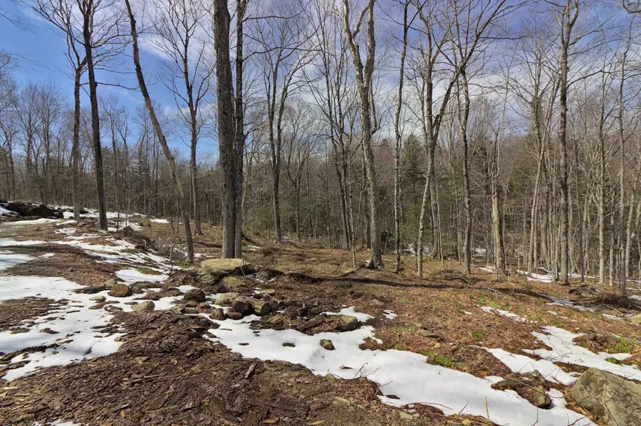 159 Oberdorf Road, Readsboro, VT 05350 - Image #3