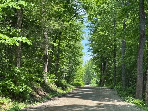 251 Phillips Hill Road, Halifax, VT 05358