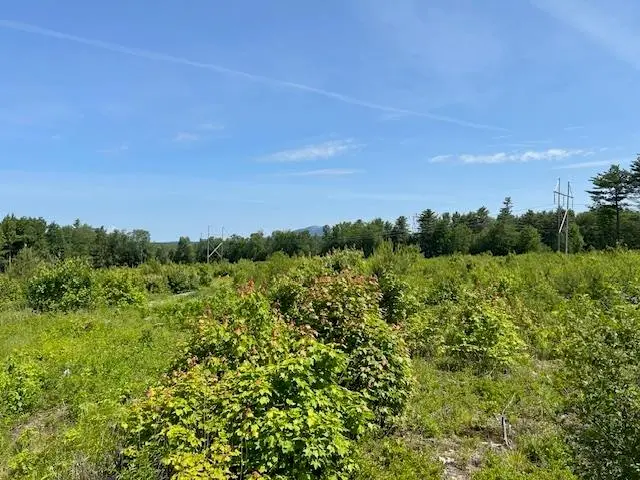 310 NH Route 119, Fitzwilliam, NH 03447 - #1