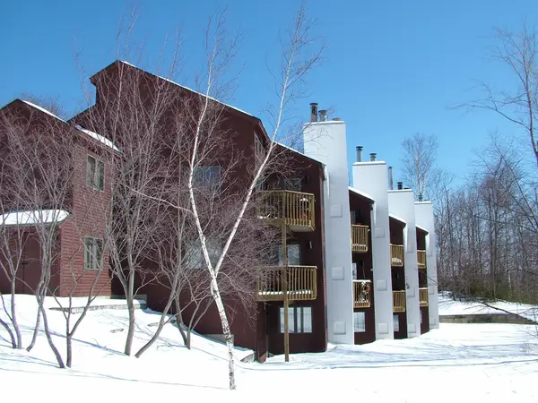 19 Kettlebrook Road #D5, Ludlow, VT 05149