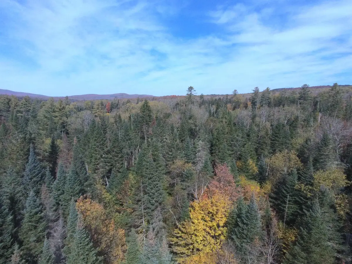 0 Thomas West Road, Lunenburg, VT 05906 - #1