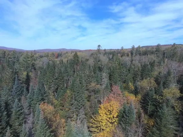 0 Thomas West Road, Lunenburg, VT 05906