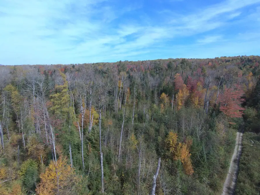 0 Thomas West Road, Lunenburg, VT 05906 - #2