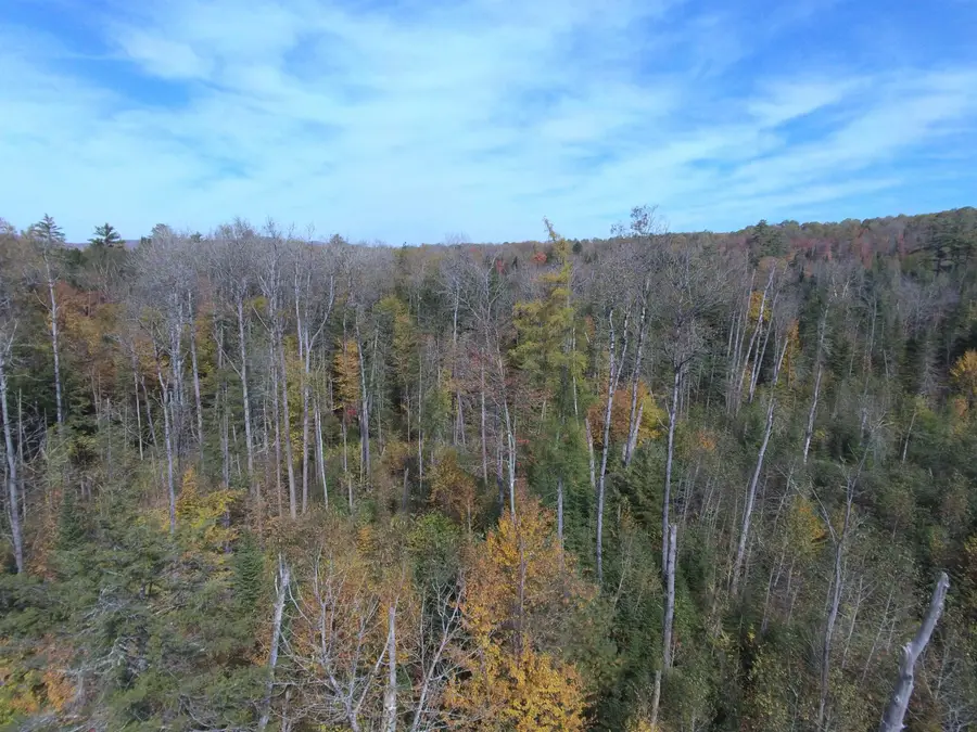 0 Thomas West Road, Lunenburg, VT 05906 - #3