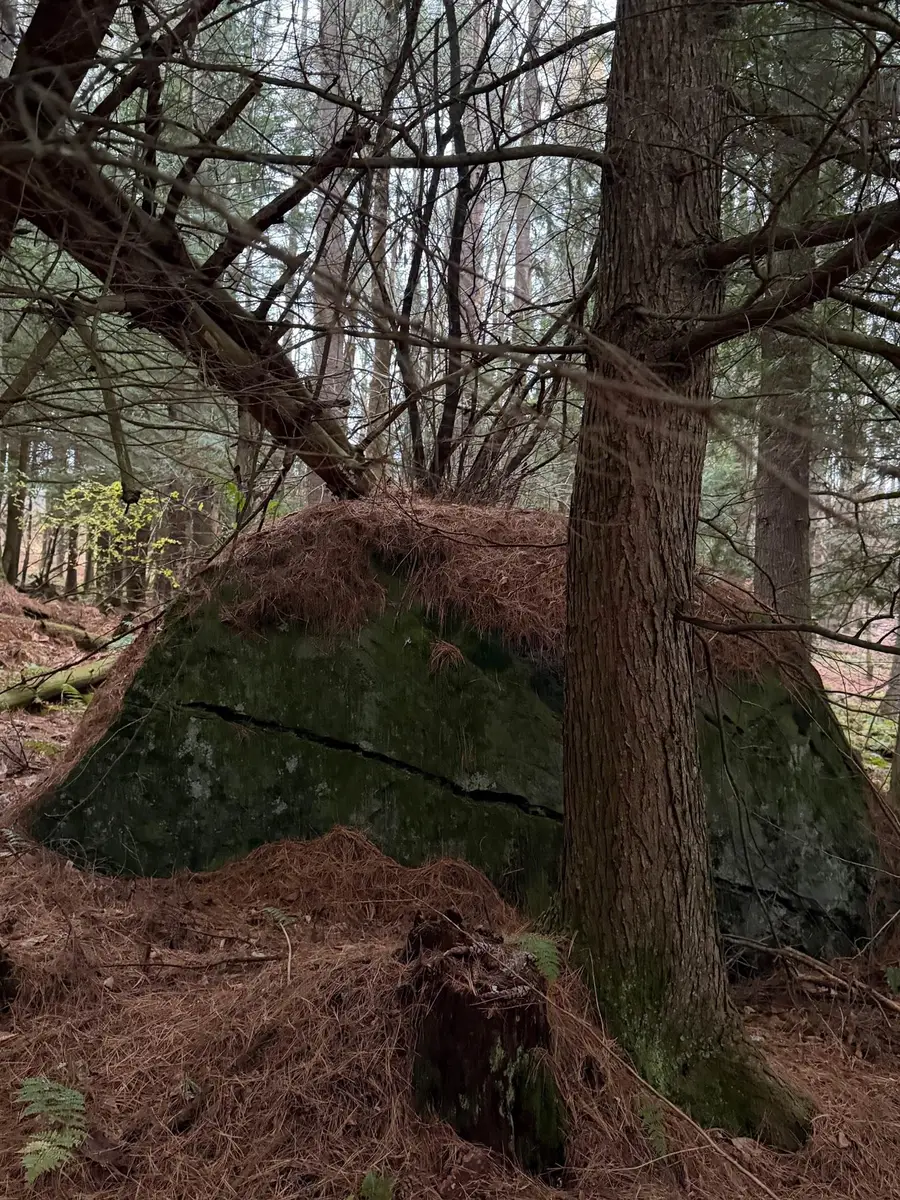 334 North Cambridge Road, Cambridge, VT 05444 - Image #2