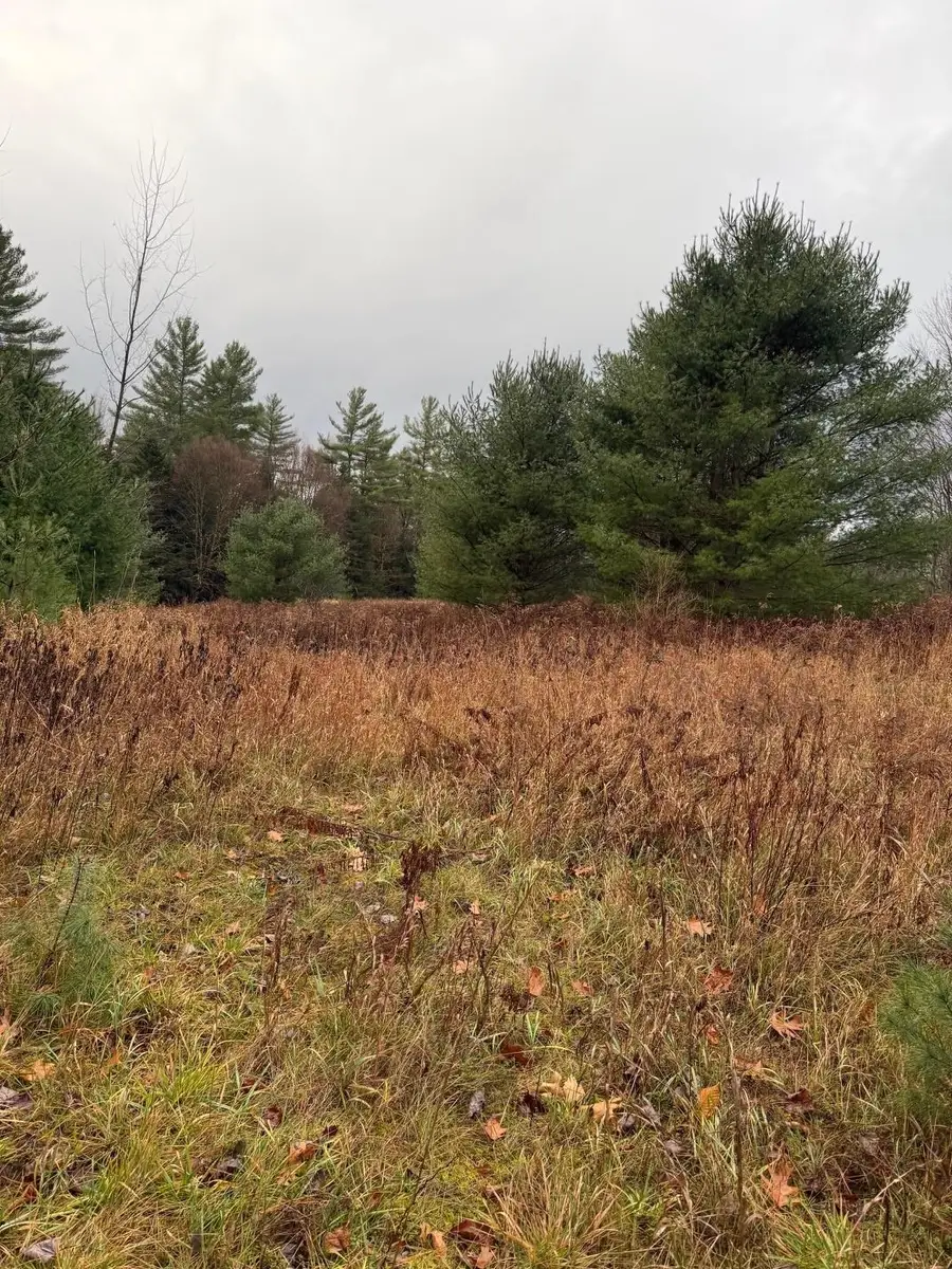 334 North Cambridge Road, Cambridge, VT 05444 - Image #3