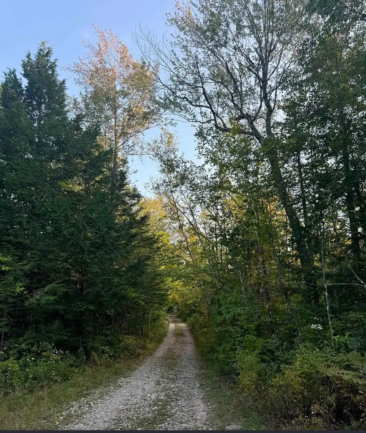 8 Horn Brook Road, Middleton, NH 03887 - Image #1