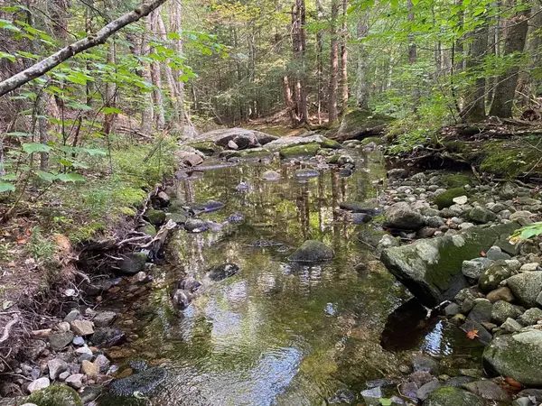 1 Government Woods Road, Ellsworth, NH 03223