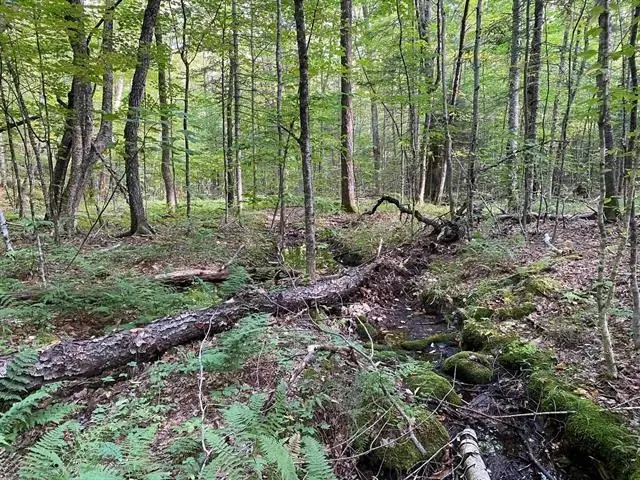 1 Government Woods Road, Ellsworth, NH 03223 - Image #2