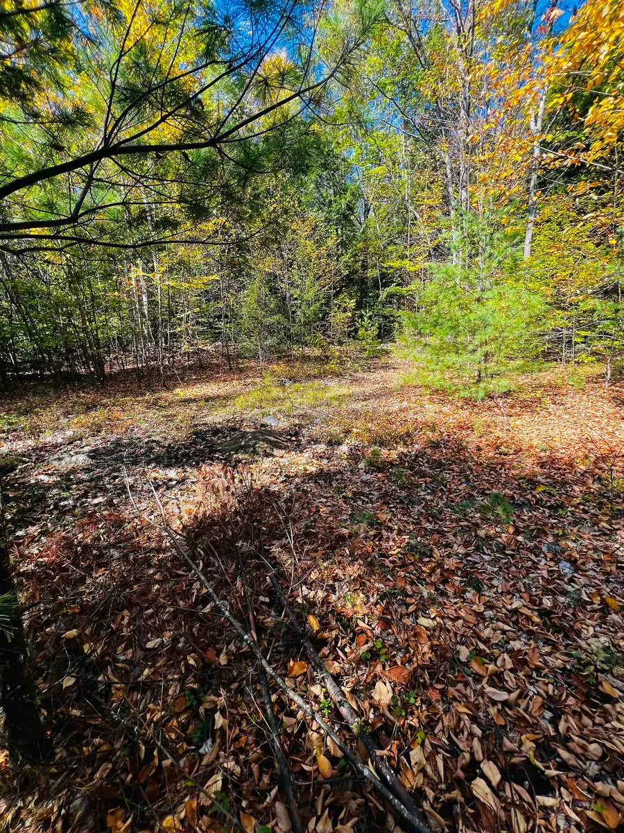 Map 408 Lot 39-1 Bullock Road, Richmond, NH 03446 - Image #2