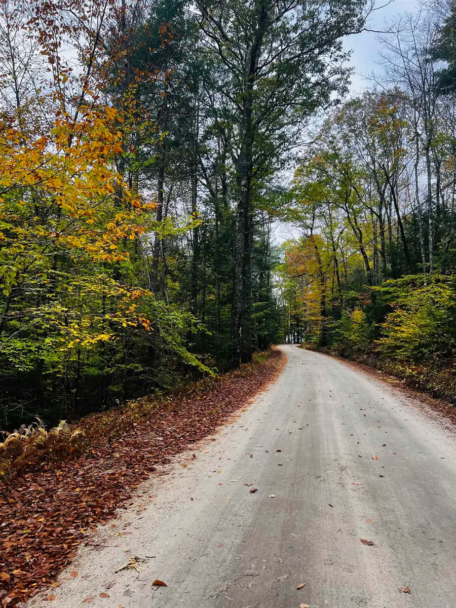 Map 408 Lot 39-1 Bullock Road, Richmond, NH 03446 - Image #3