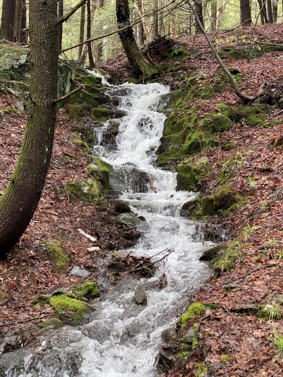 1372 Mud Pond Road, Thetford, VT 05075 - Image #3