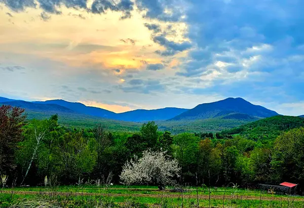 3326 Mud City Loop, Morristown, VT 05661