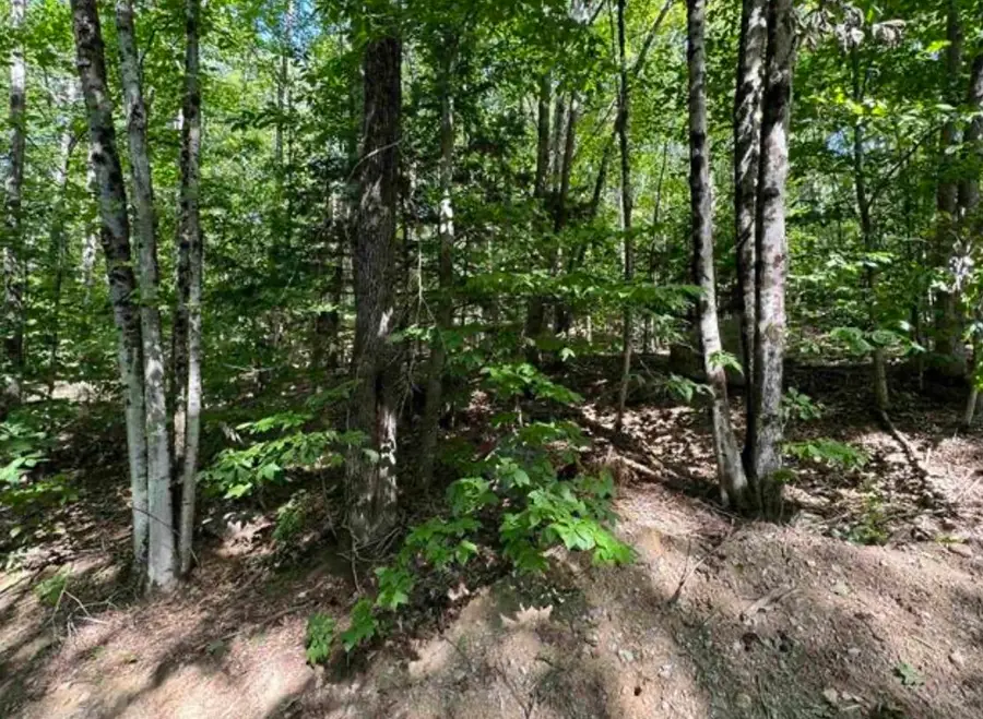 Map 10 Lots 154,155,156 New Hampshire Drive, Webster, NH 03303 - Image #2