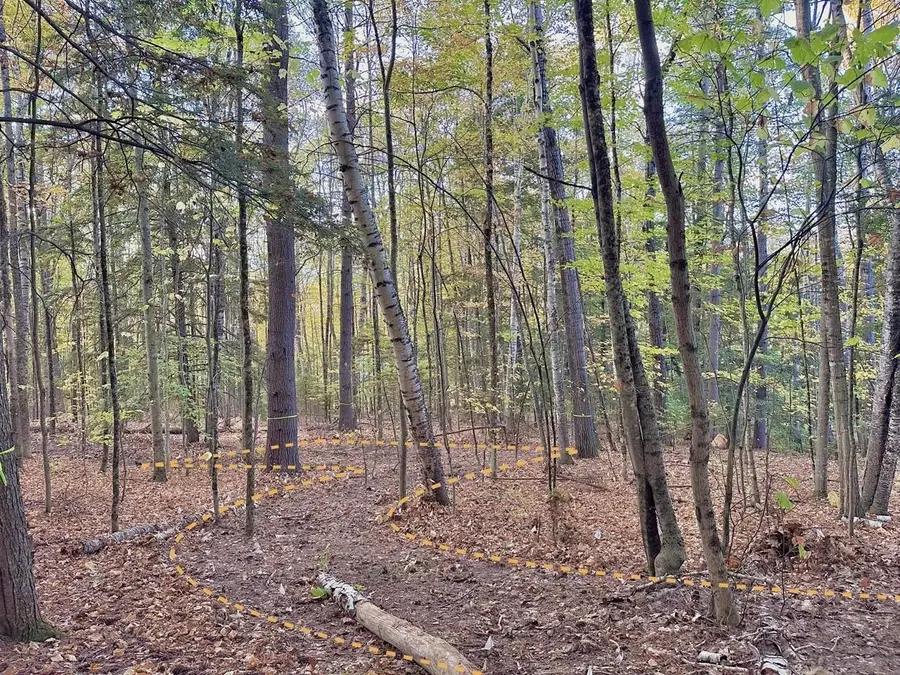 C100 Hodgeman Hiill Road, Campton, NH 03223 - Image #2