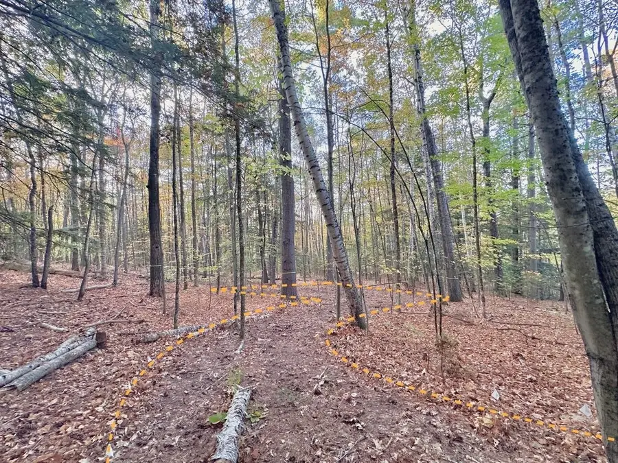 C100 Hodgeman Hiill Road, Campton, NH 03223 - Image #3