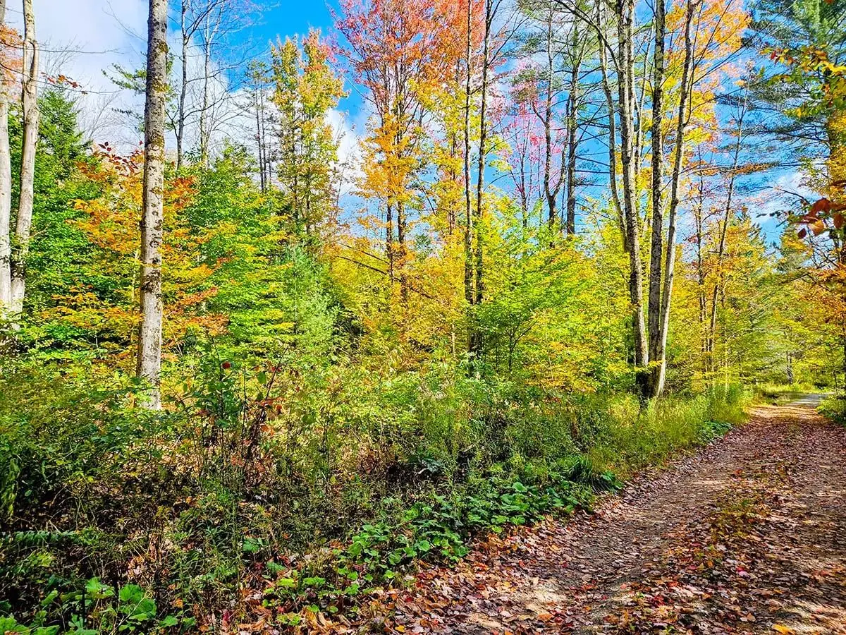 0 Oberland Valley Road, Montgomery, VT 05471 - Image #1