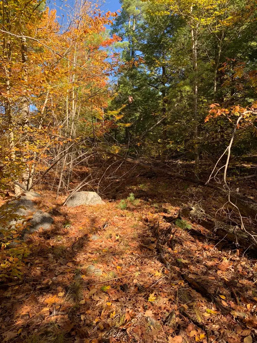 Lot 3 Journeys End Road, Francestown, NH 03043 - Image #3