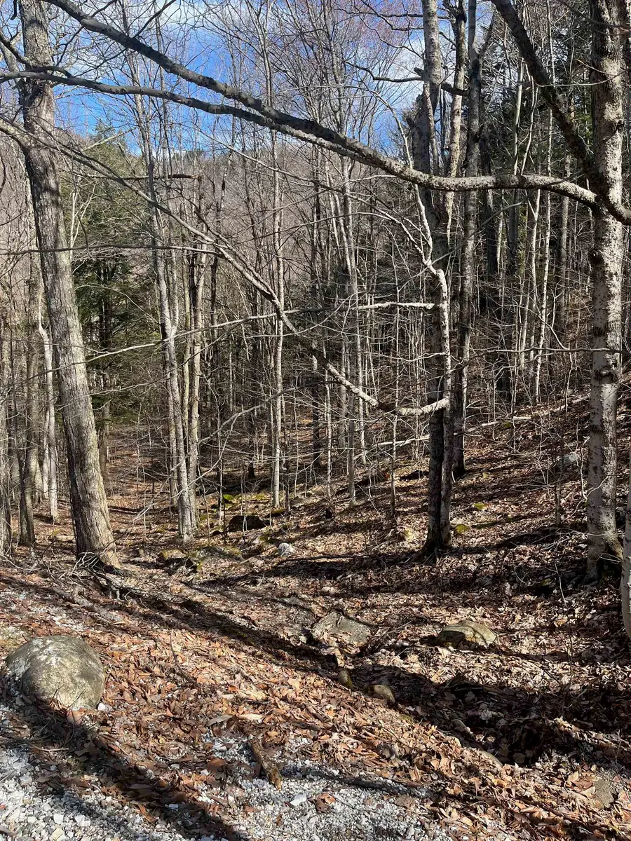 2-47 East Ash Road, Plymouth, VT 05056 - Image #3